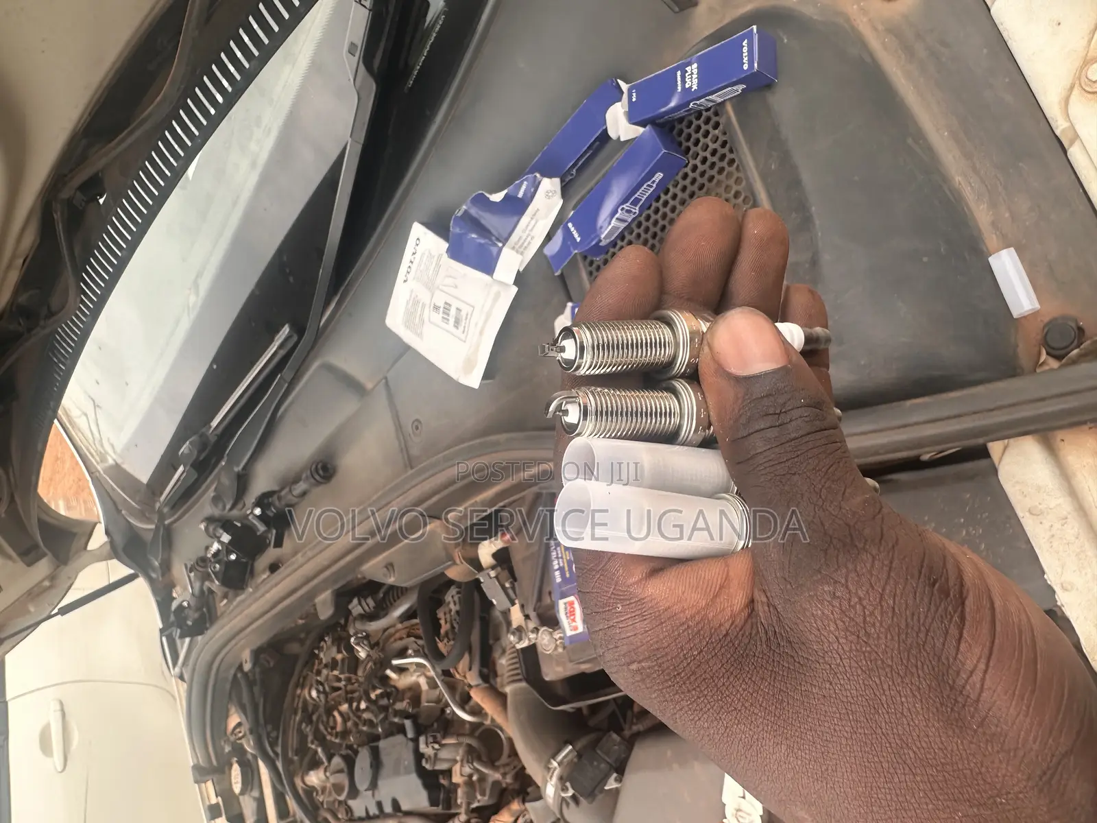 Spark Plugs