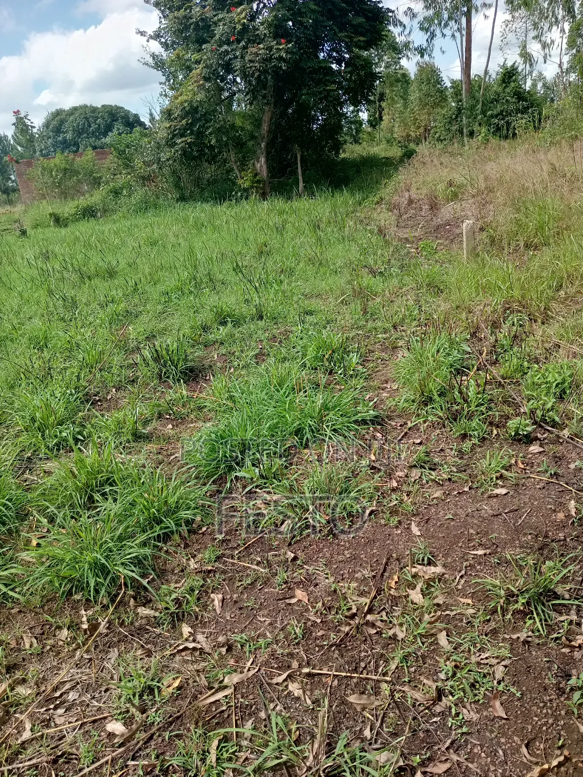 Land For Residential House