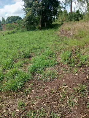 Land For Residential House