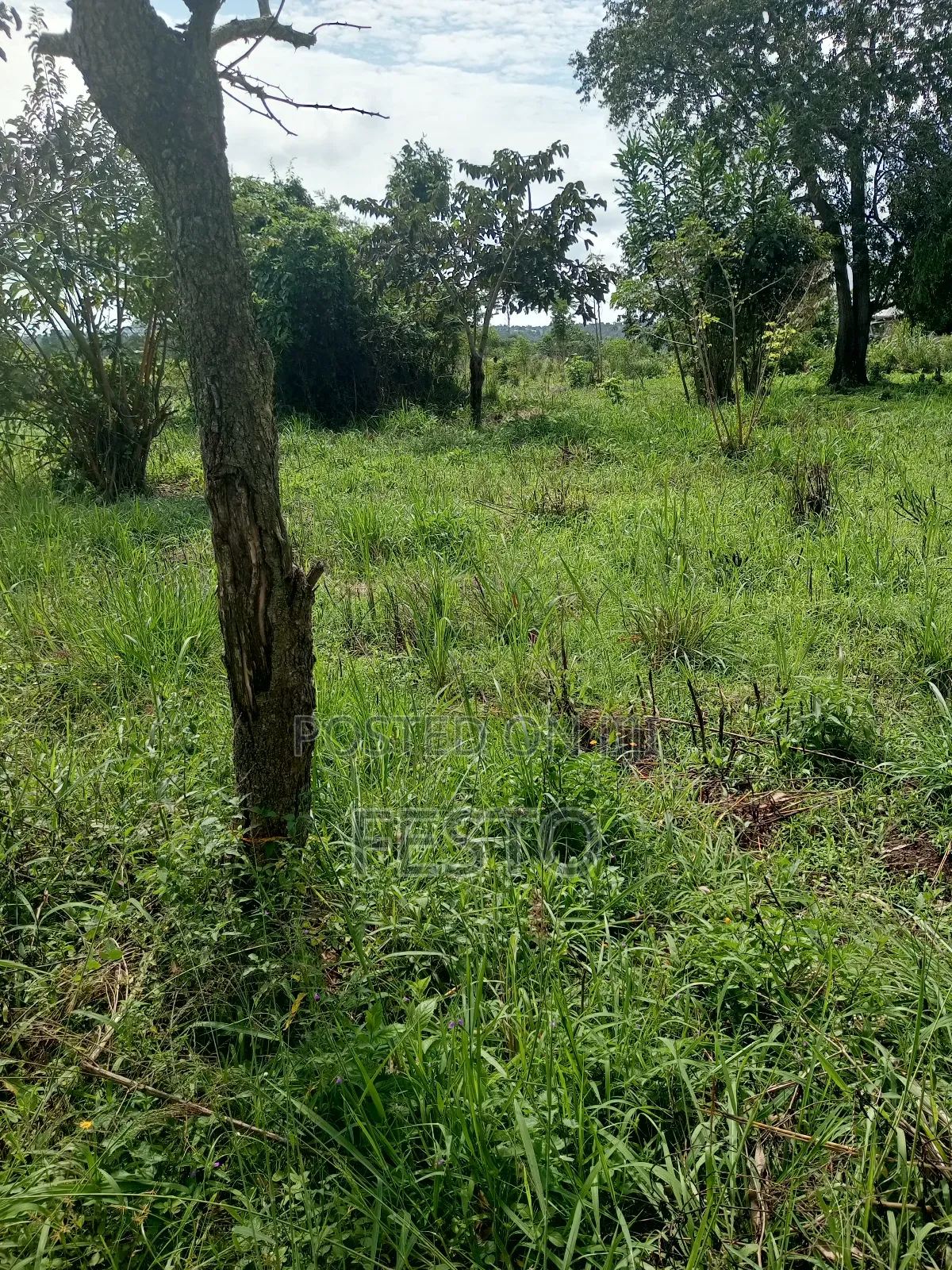 Land For Residential House