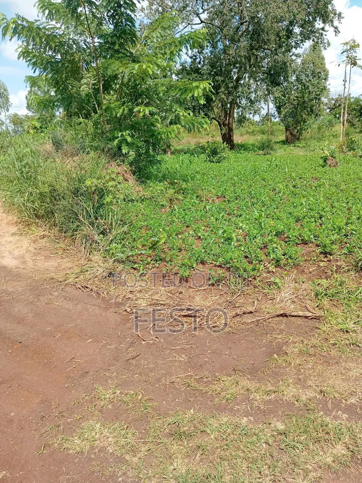 Land For Residential House