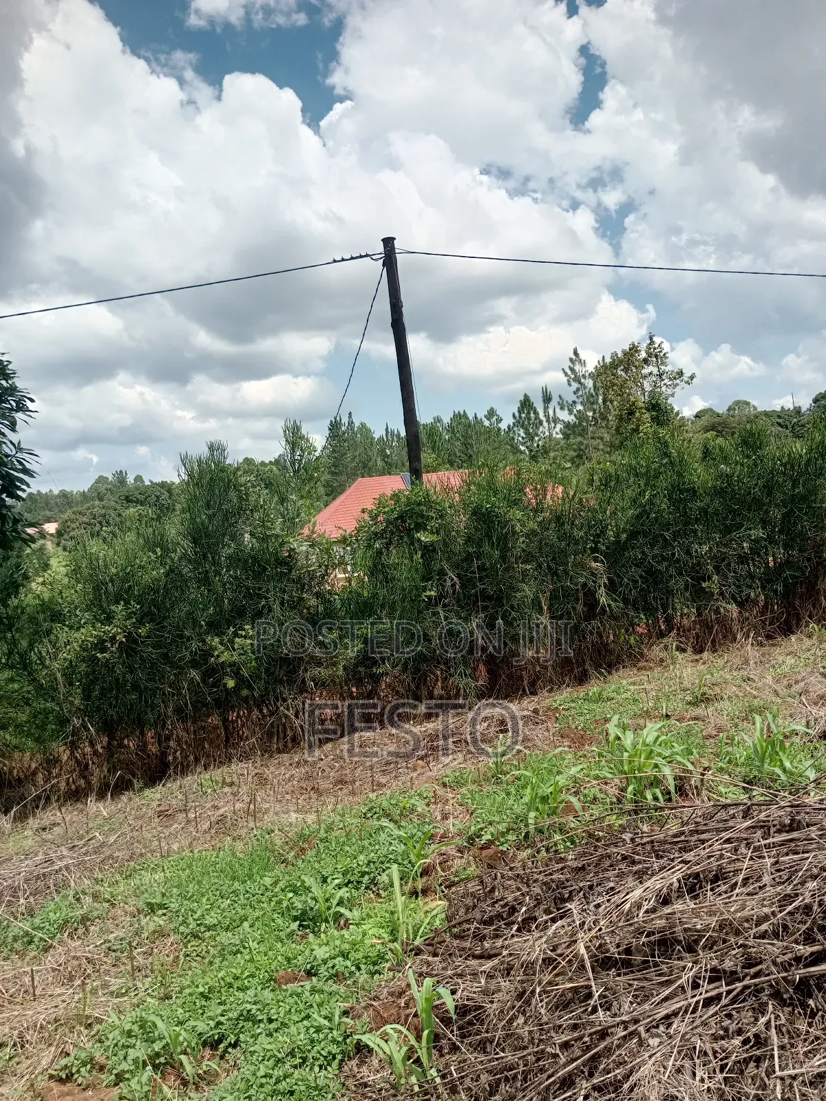 Land on Highway for Sale