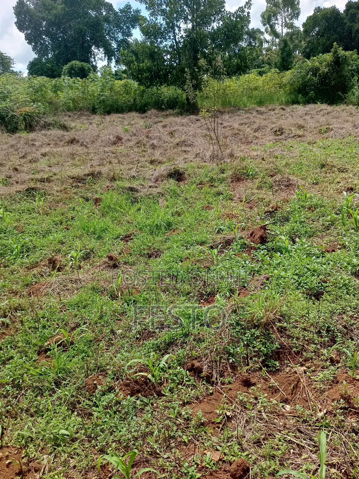 Land on Highway for Sale