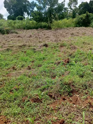 Land on Highway for Sale