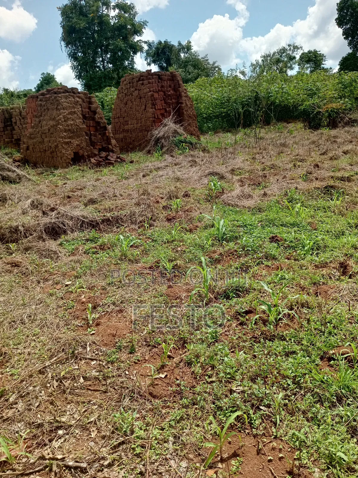 Land on Highway for Sale