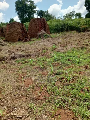 Land on Highway for Sale