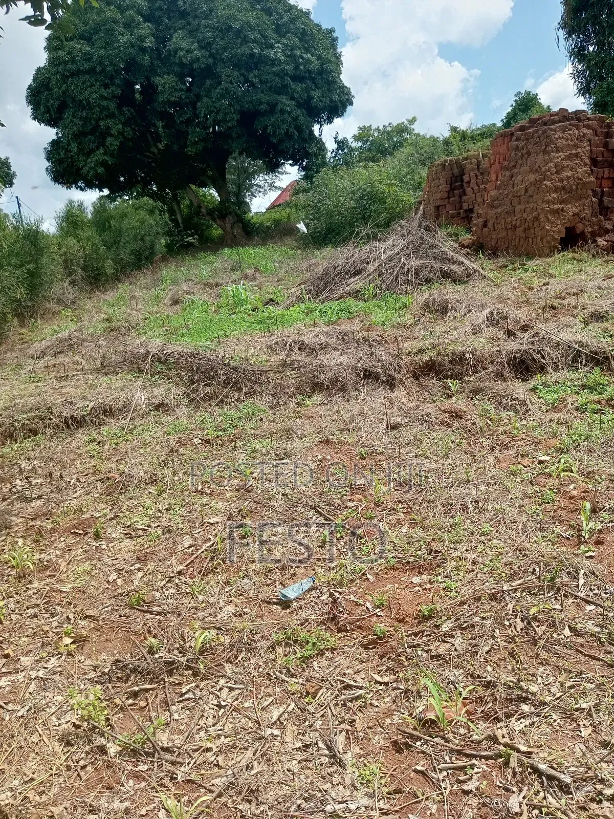 Land on Highway for Sale