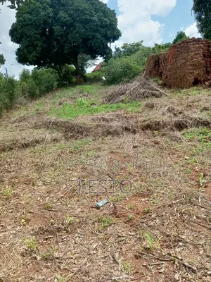 Land on Highway for Sale