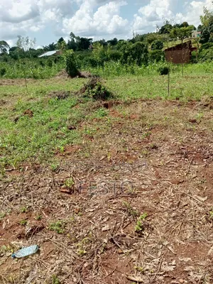 Land on Highway for Sale