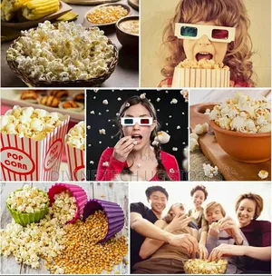 Electric Popcorn Maker -Healthy Delicious Popcorn