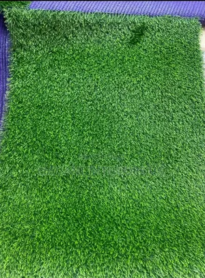 Grass Carpets for Compounds and Balconies Plus Turfs