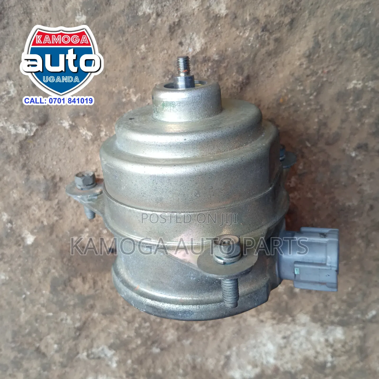 Radiator Fan Motor.