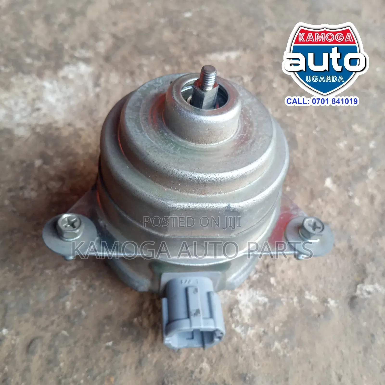 Radiator Fan Motor.