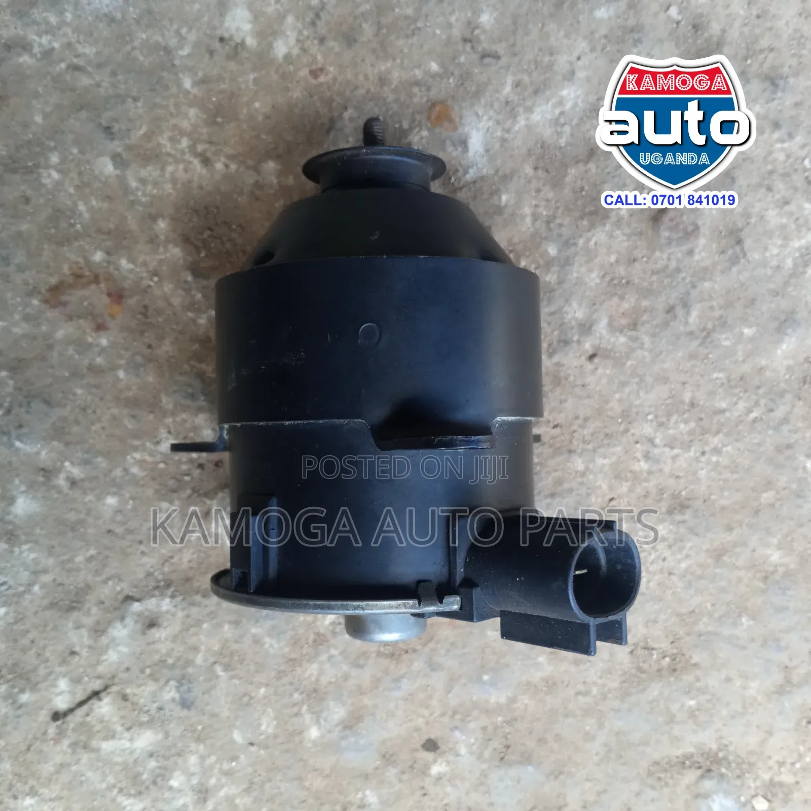 Radiator Fan Motor.