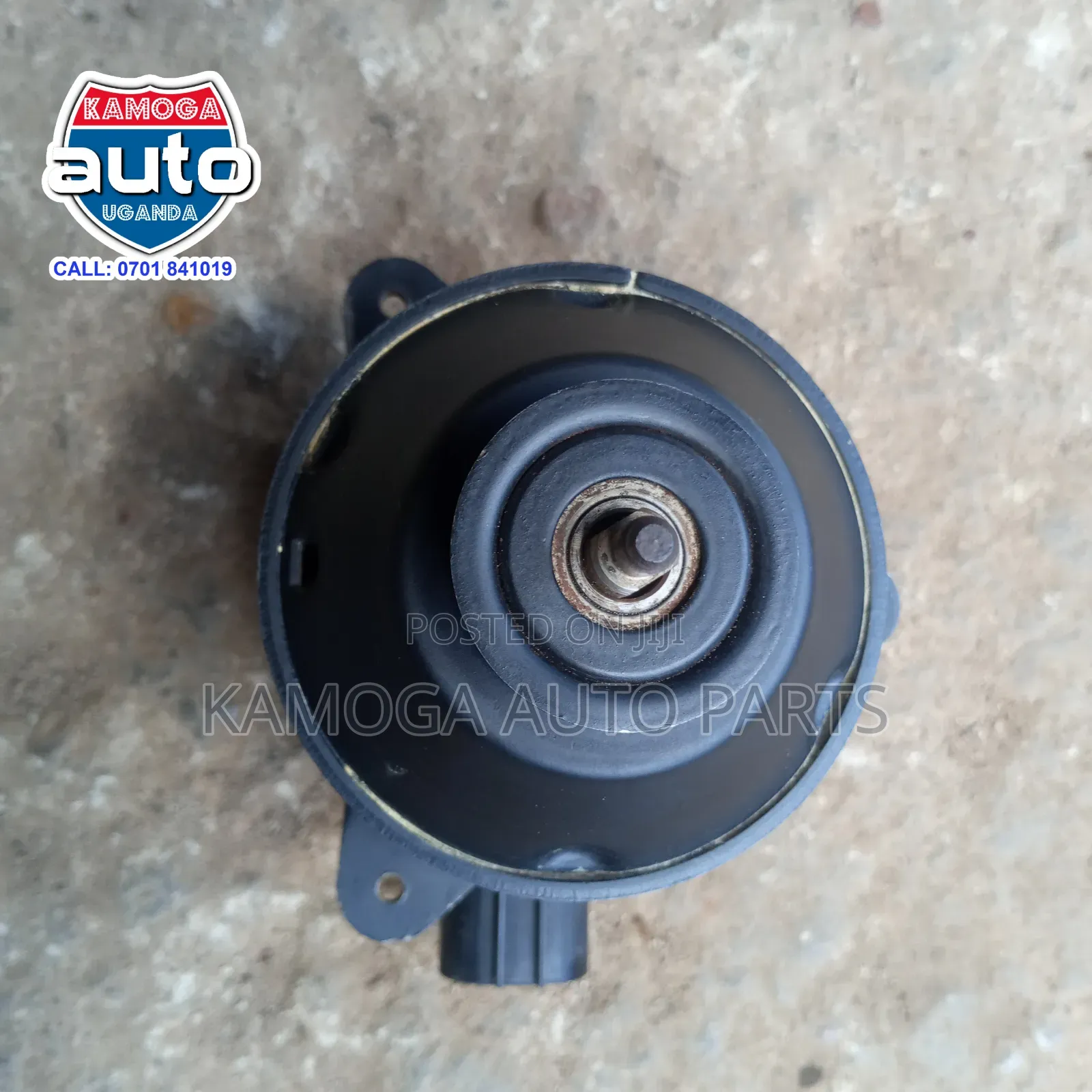 Radiator Fan Motor.
