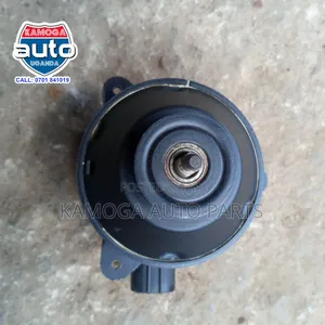 Radiator Fan Motor.