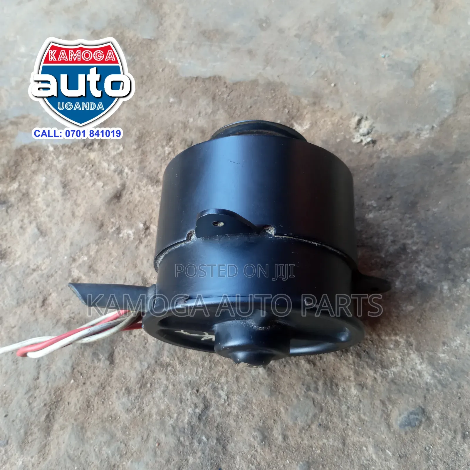Radiator Fan Motor.