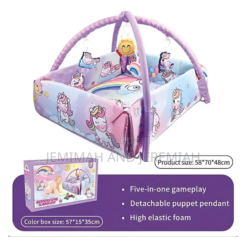 5-in-1 Baby Gym Activity Centre and Ball Pit Area
