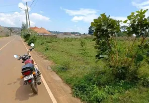 Entebbe Kabaale Land Touching the Tarmac Road on Sale