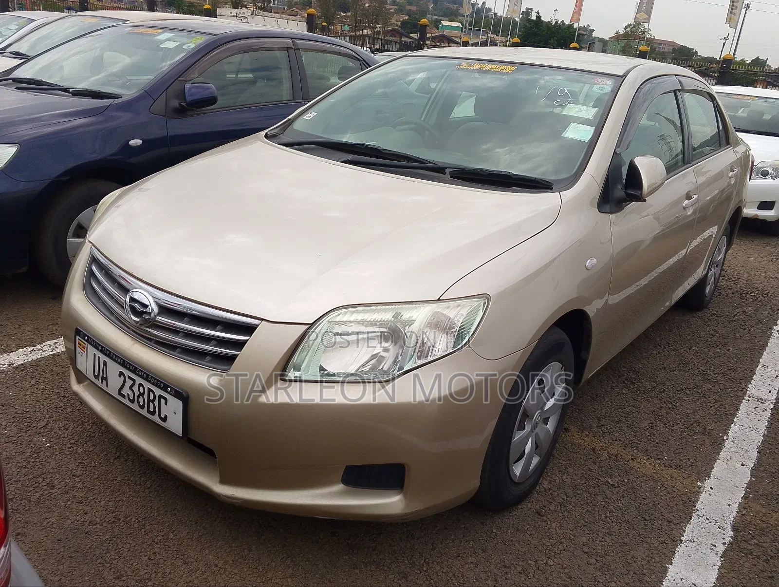 Toyota Axio 2010 Gold