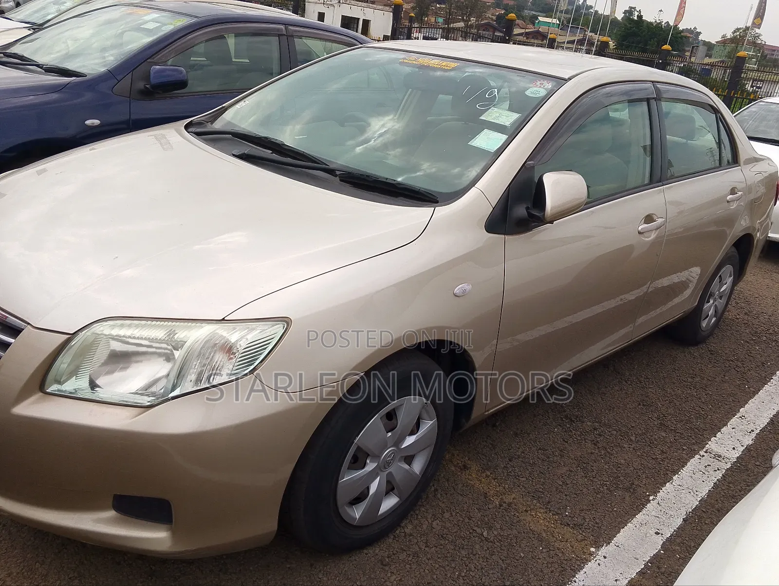 Toyota Axio 2010 Gold