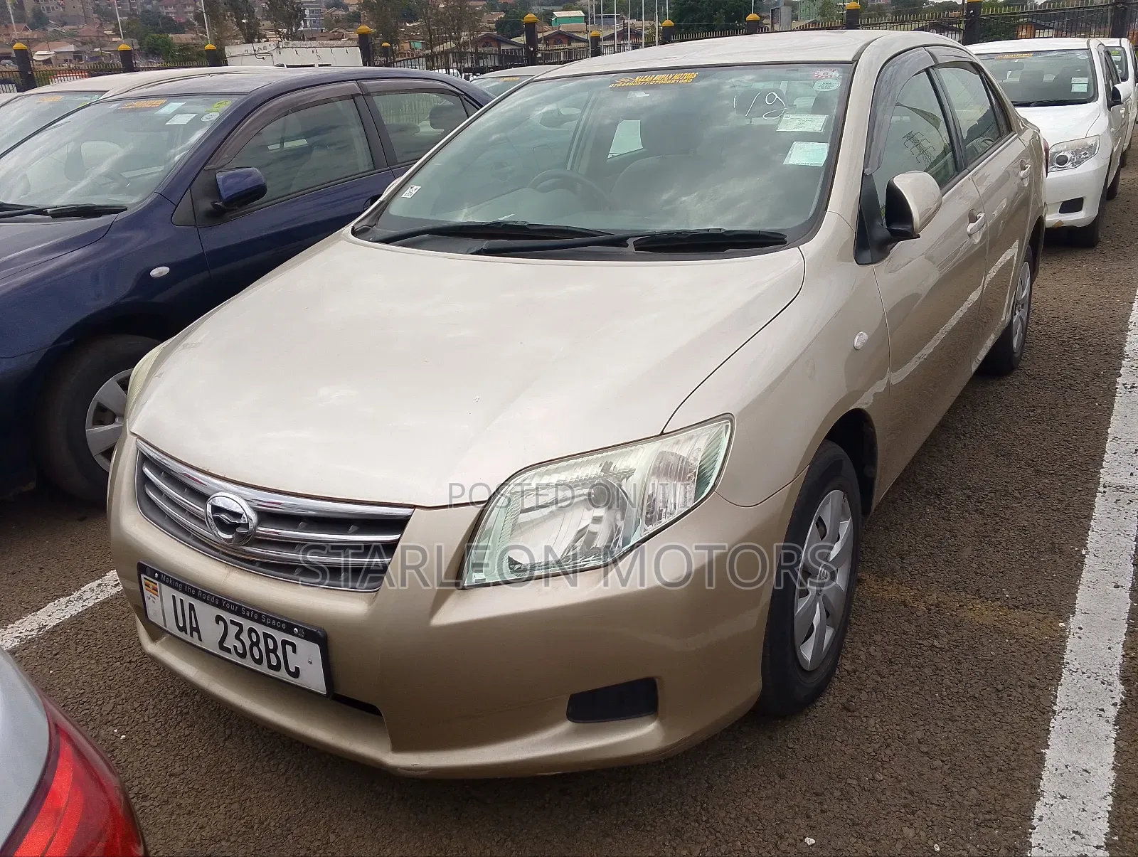 Toyota Axio 2010 Gold