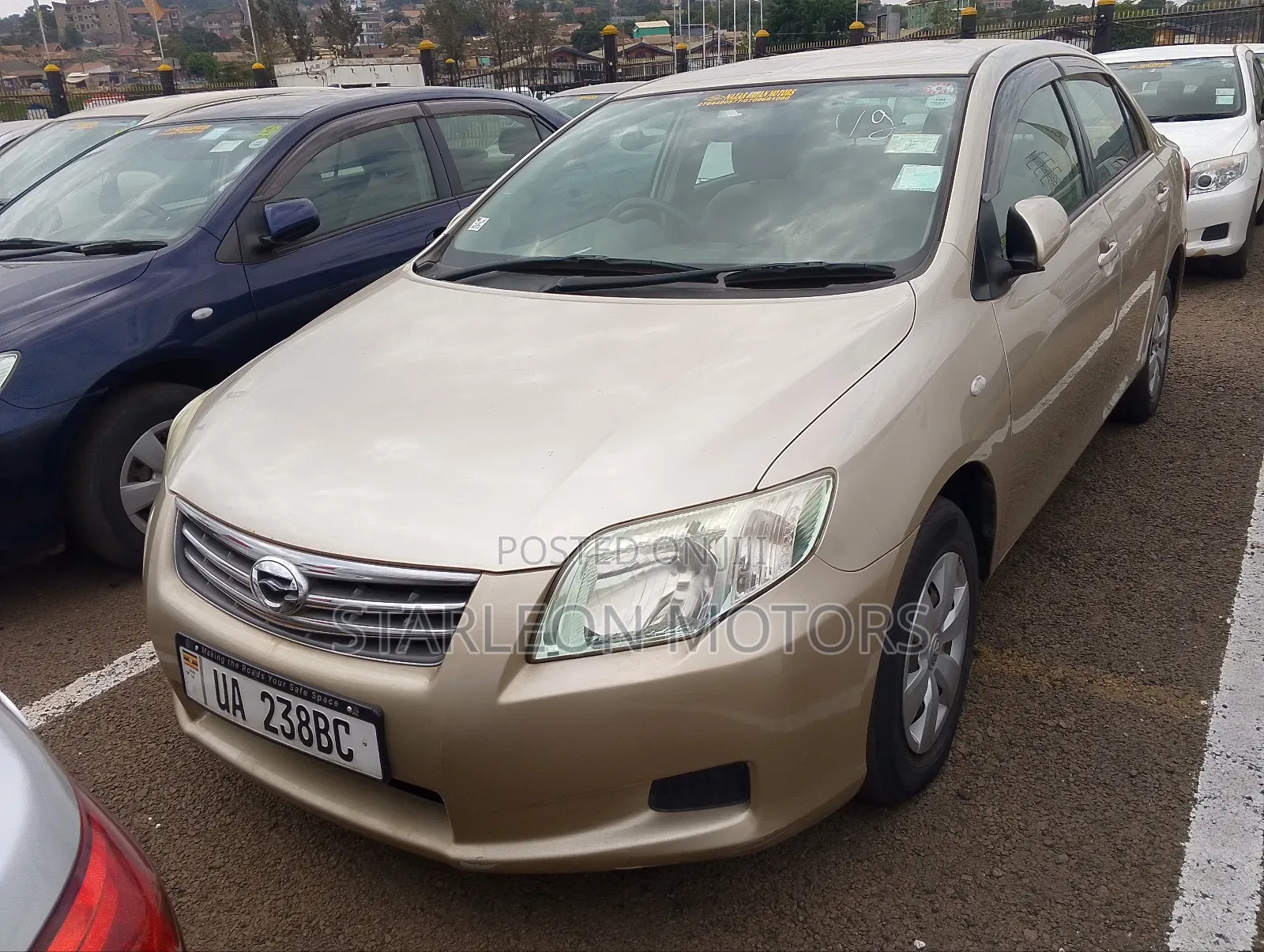 Toyota Axio 2010 Gold