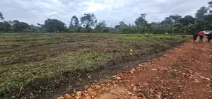 Quick Plots On Sale At Namayumba Along Hoima Road