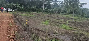 Quick Plots On Sale At Namayumba Along Hoima Road