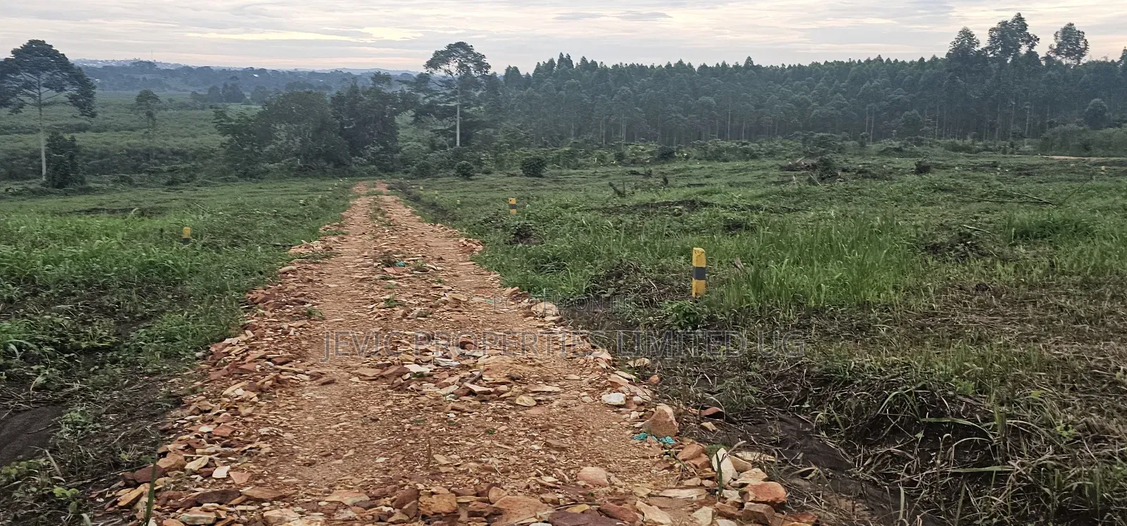 Quick Plots On Sale At Namayumba Along Hoima Road