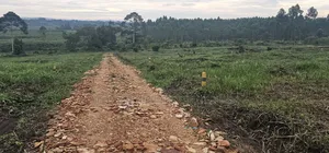 Quick Plots On Sale At Namayumba Along Hoima Road