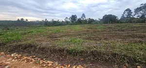 Quick Plots On Sale At Namayumba Along Hoima Road