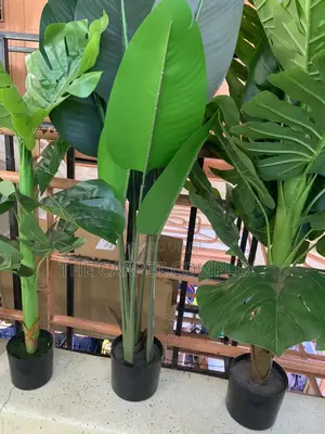 Artificial Home Plants Each