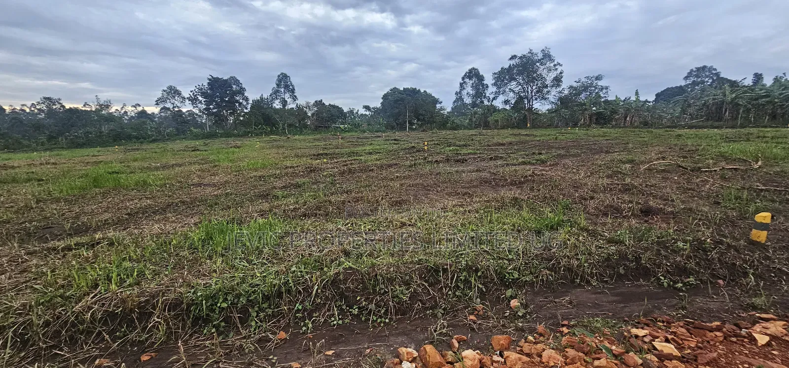 Looking for Affordable Plots, Say No More, We Have Them in Namayumba