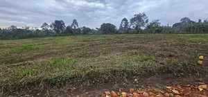 Looking for Affordable Plots, Say No More, We Have Them in Namayumba