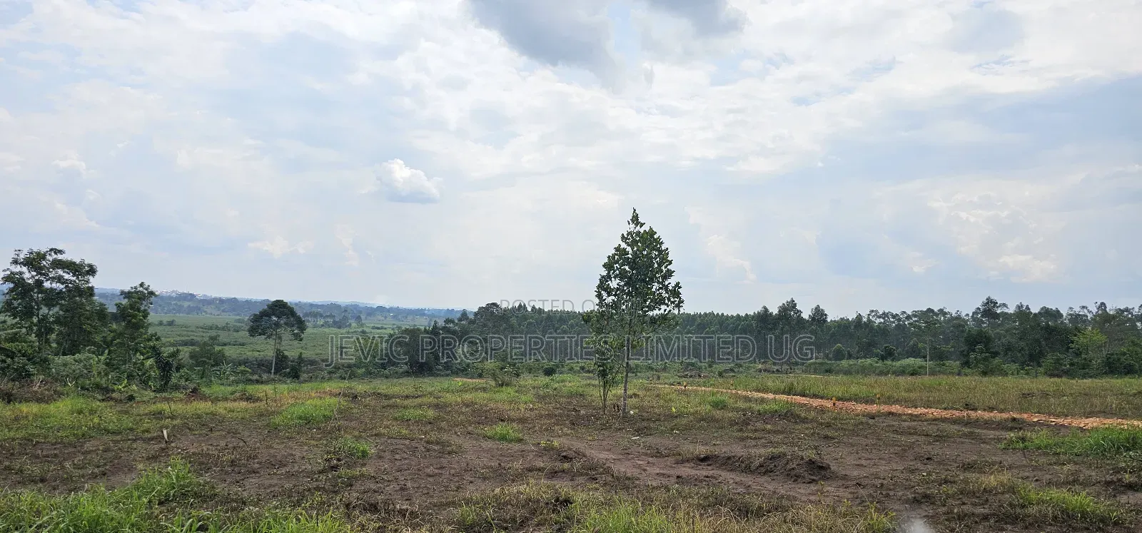 Looking for Affordable Plots, Say No More, We Have Them in Namayumba