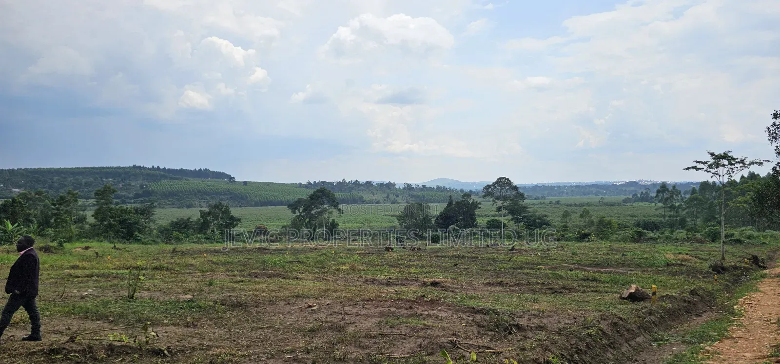 Looking for Affordable Plots, Say No More, We Have Them in Namayumba