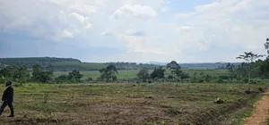 Looking for Affordable Plots, Say No More, We Have Them in Namayumba