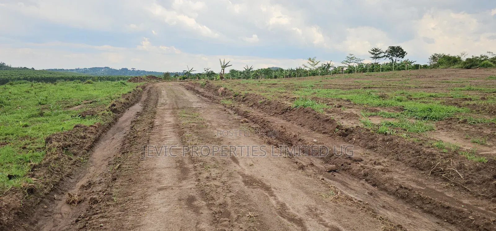 Own a Plot Today at Kakiri Kikugi
