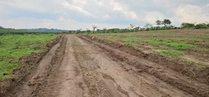 Own a Plot Today at Kakiri Kikugi