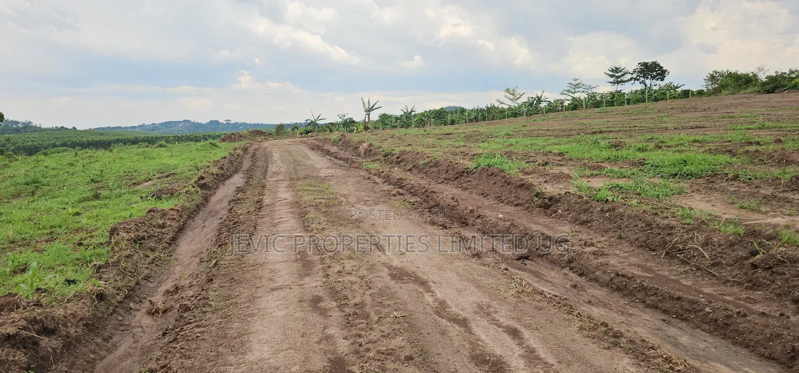 Own a Plot Today at Kakiri Kikugi