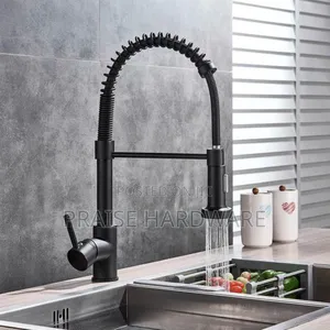 Kitchen Sink Mixer