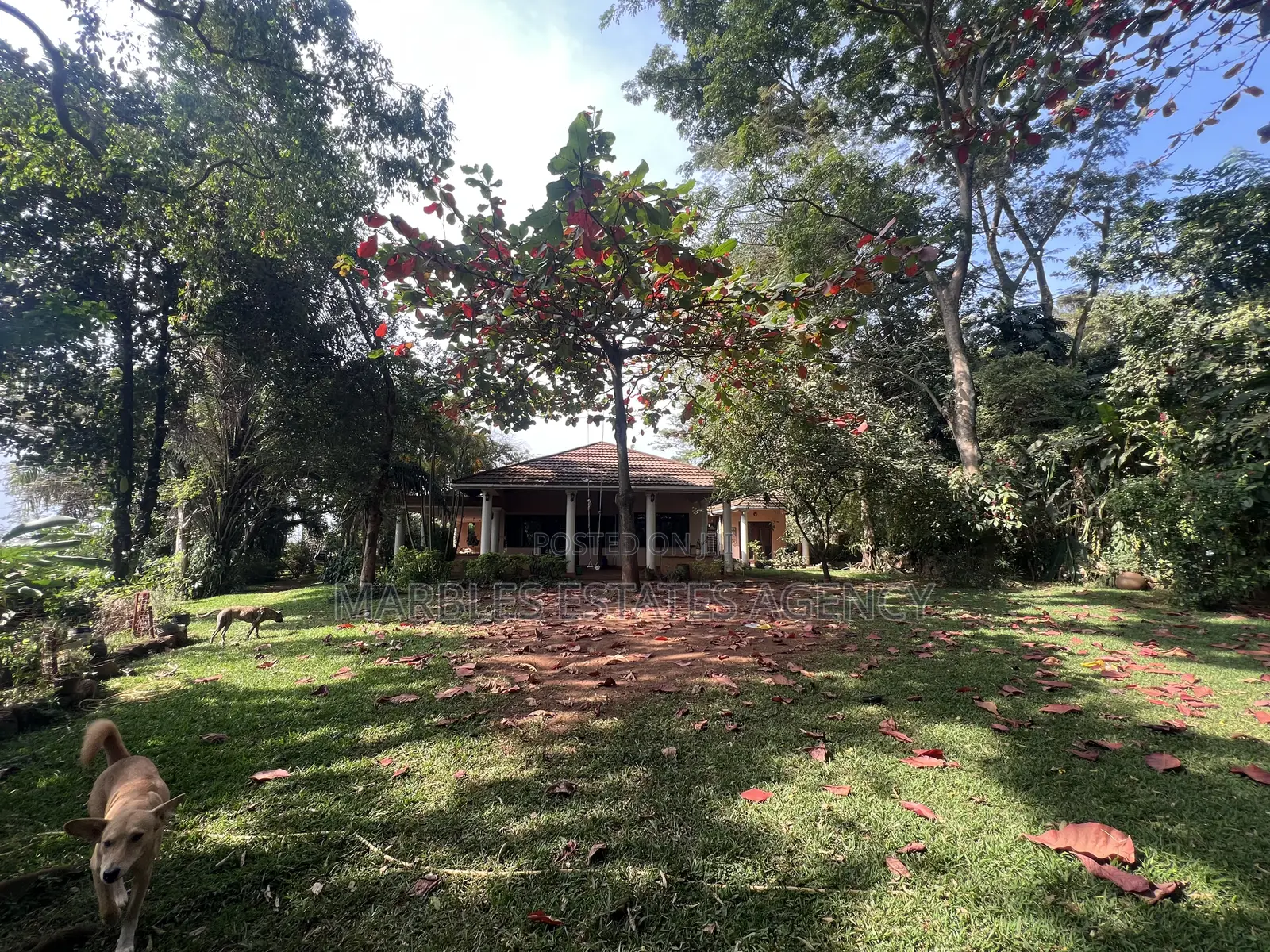 8bdrm House in Mbuya, Central Division for rent