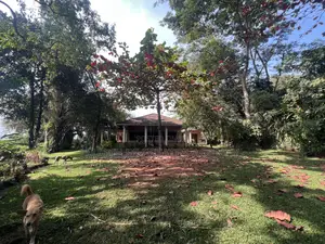 8bdrm House in Mbuya, Central Division for rent