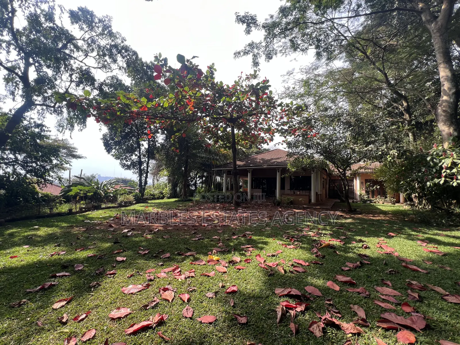 8bdrm House in Mbuya, Central Division for rent