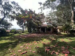 8bdrm House in Mbuya, Central Division for rent