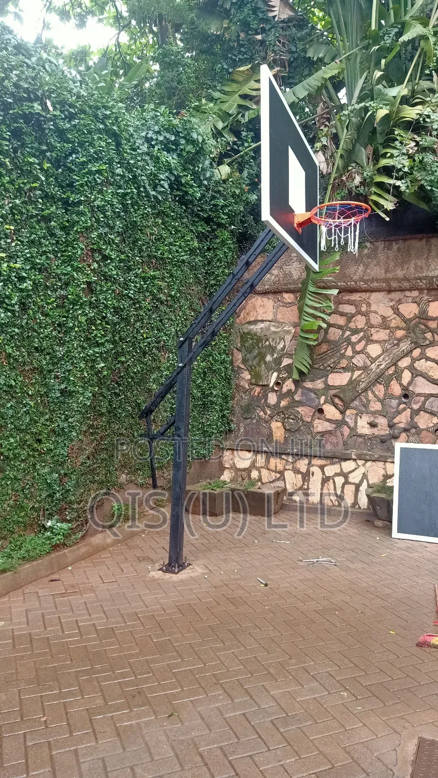 Adjustable Basketball Hoop - Standard