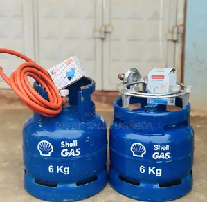 6kg Shell Ordinary and Regular (Fast Delivery)