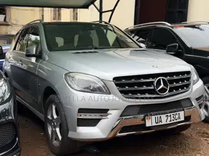 Mercedes-Benz M Class 2014 Silver