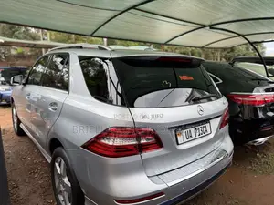 Mercedes-Benz M Class 2014 Silver